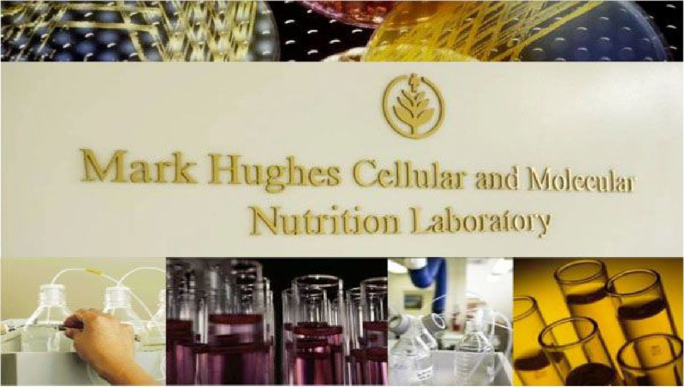 herbalife ostia benessere, nutrizione, salute, integratori, alimentazione, h24 dieta peso
